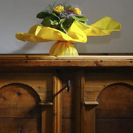 Pensjonat Annex Antika